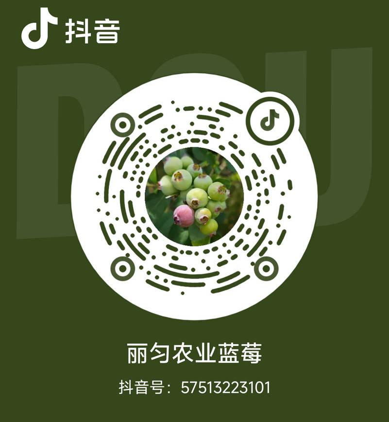 抖音二维码